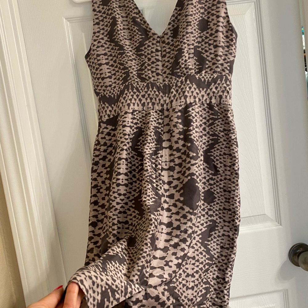 Silk Dress - Picture 5 of 6